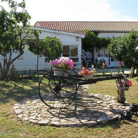 El Condado Casa Rural Fuentes de Onoro ภายนอก รูปภาพ